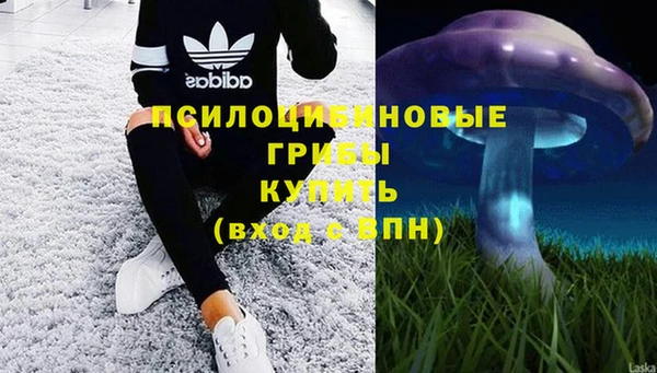 соль ск Балабаново