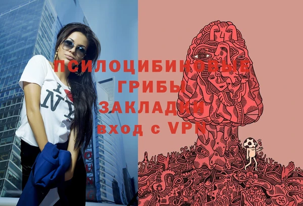 соль ск Балабаново